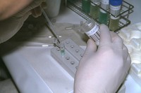 test tube at Flesh Machine