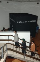 Para-Information